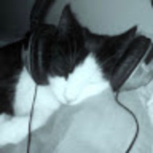 Meet your Posher, Penelope